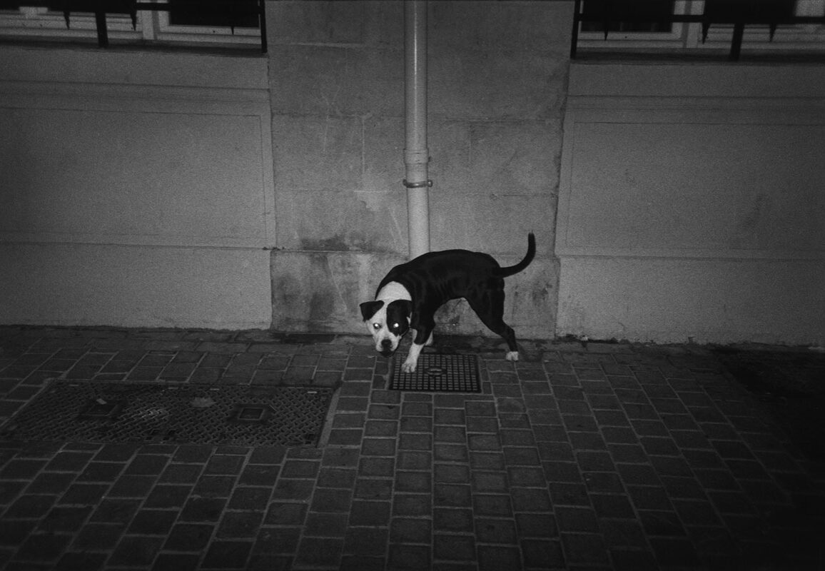 © Gabrielle Duplantier / Galerie 127