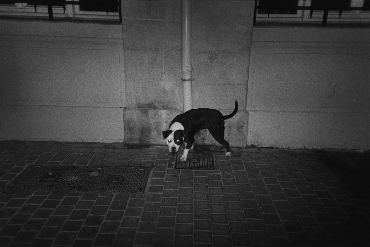 © Gabrielle Duplantier / Galerie 127