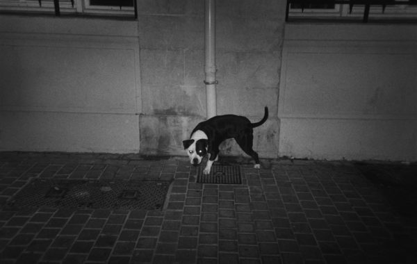 © Gabrielle Duplantier / Galerie 127
