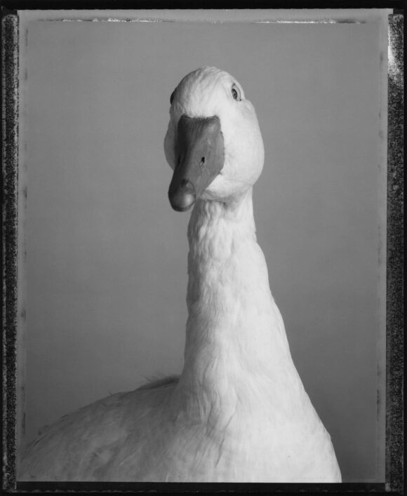 © Bettina Rheims