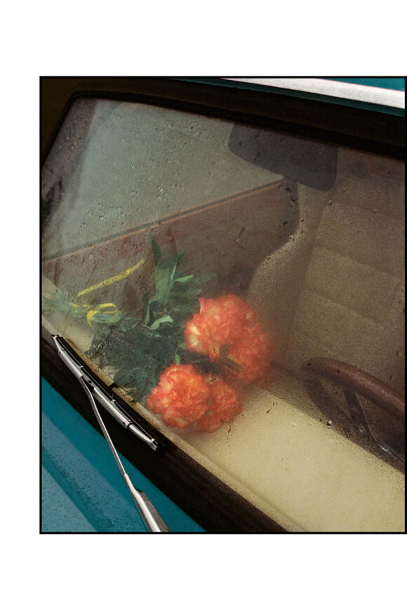 © Karol Malecki