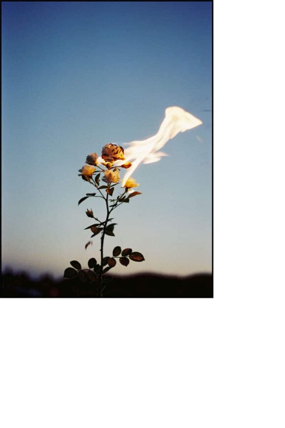 © Karol Malecki