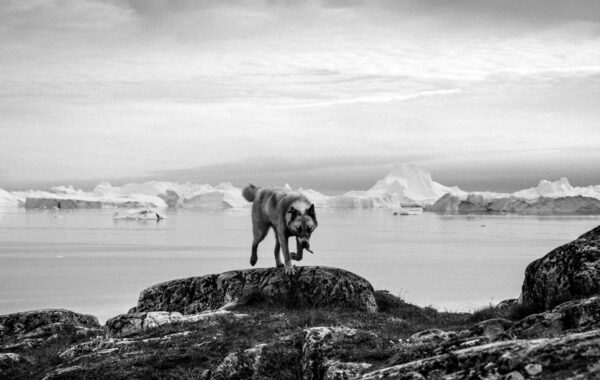 © Olivier Laban-Mattei / Myop
