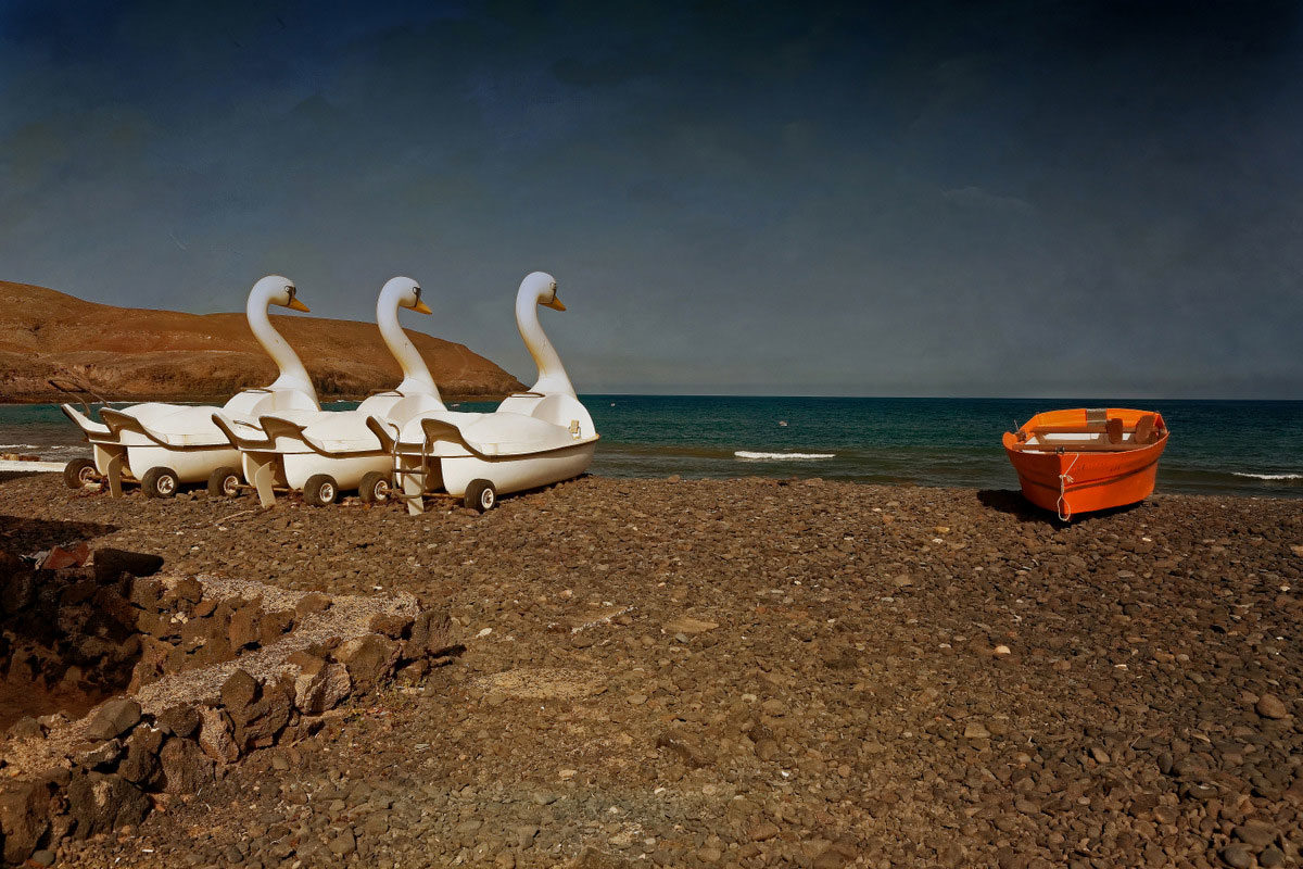 © Marie-Claude d’Abrigeon