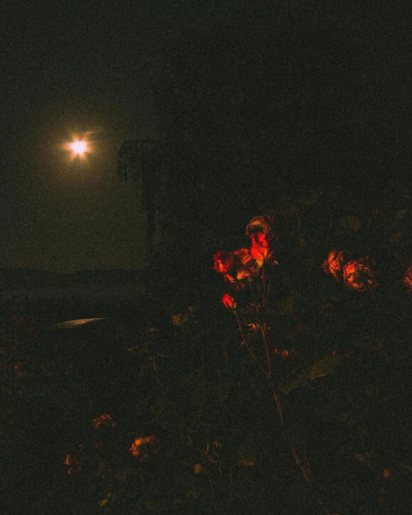 © Mayssa Mehenni
