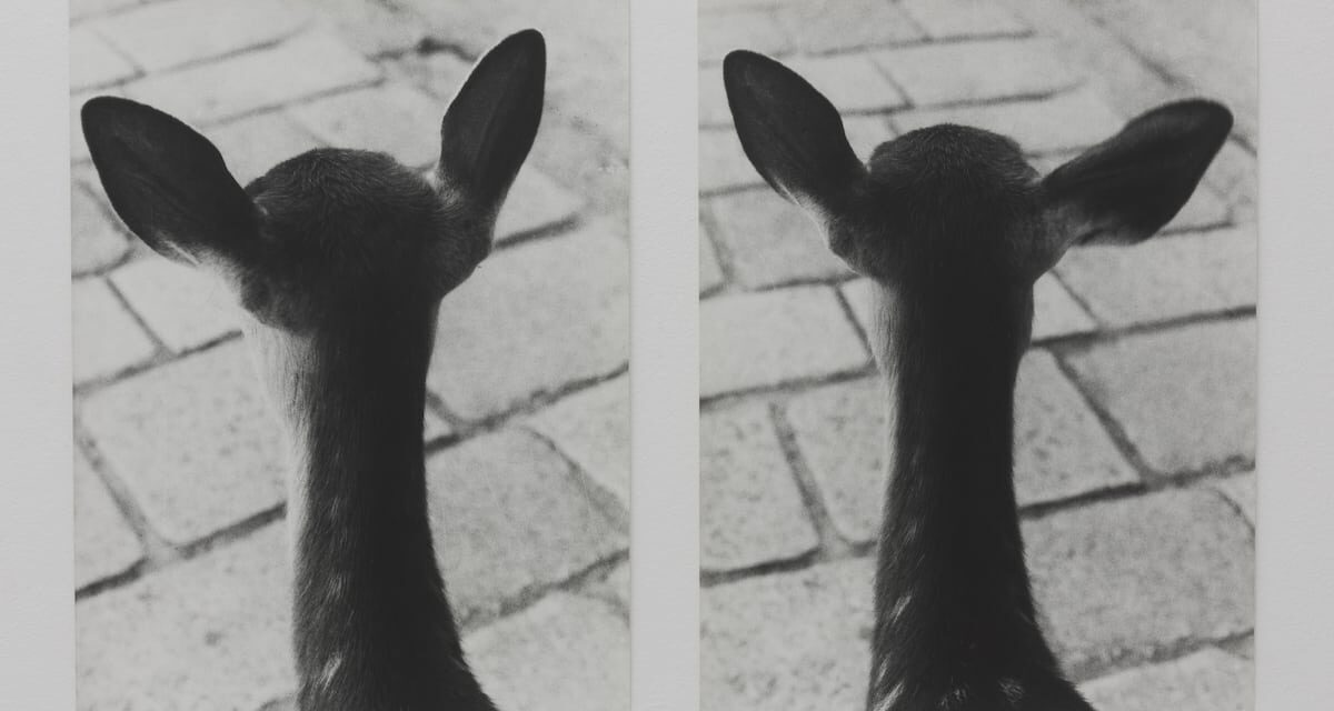 © Jochen Lempert