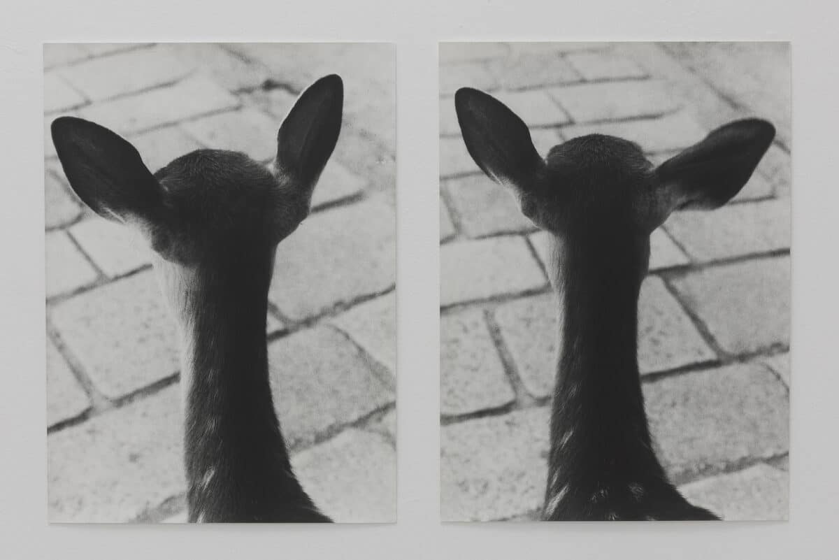 © Jochen Lempert