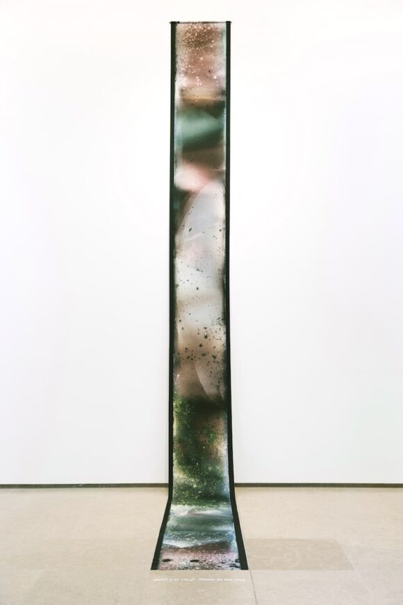 The River, Bactéries sur celluloïd, numérisé et tiré sur textile, 2018 © Lara Tabet