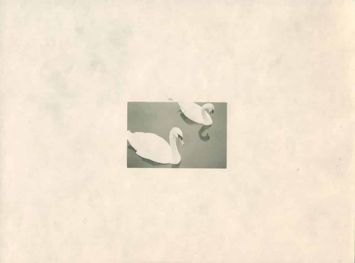 © Marion Ellena