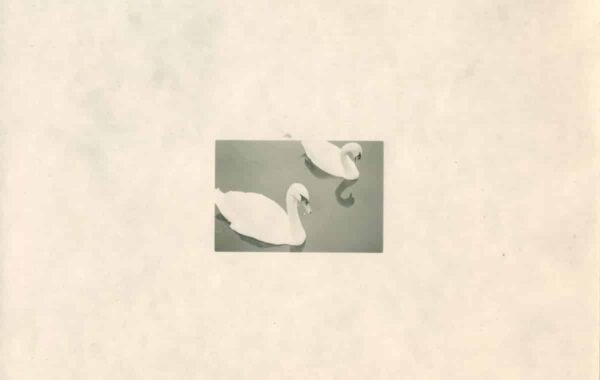 © Marion Ellena