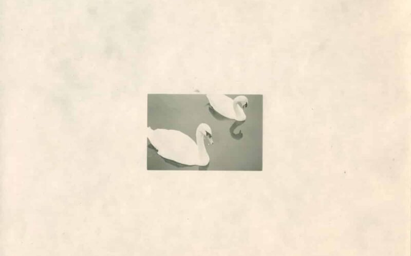 © Marion Ellena