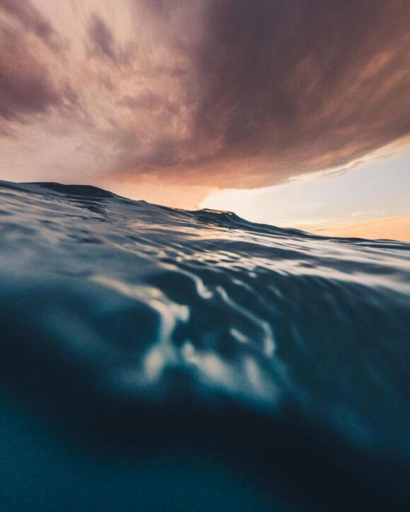 © Nicolas Laffaille