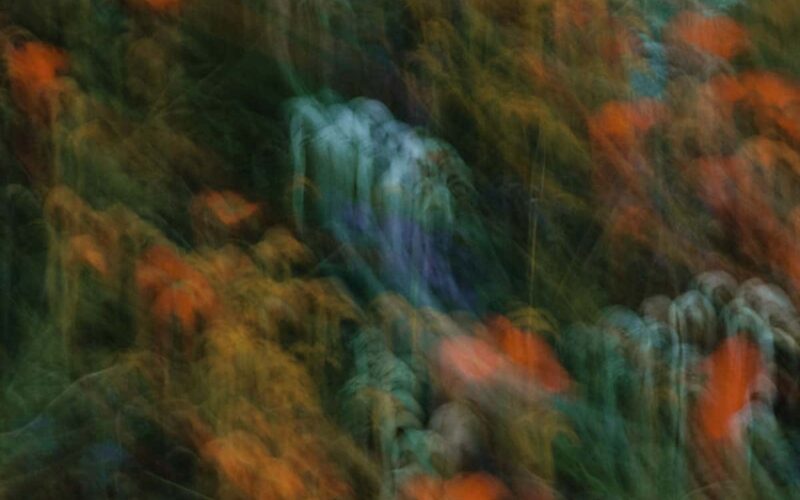 © Oumaïma Belouali