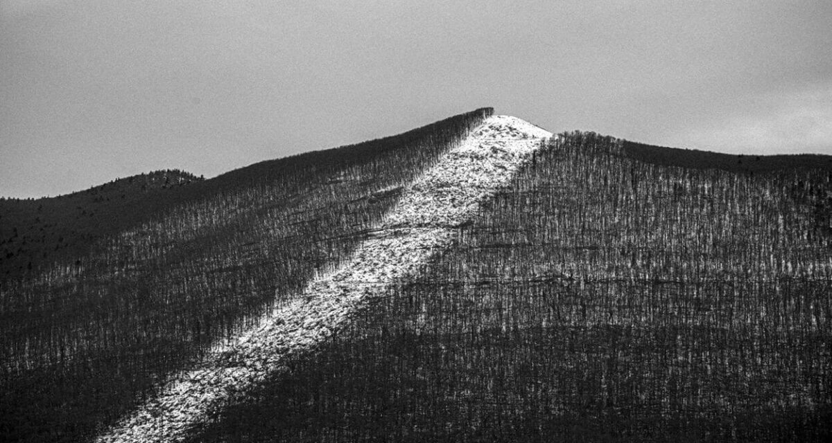 © Louise Schmidt