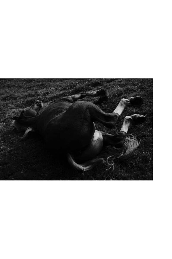 © Tendance Floue