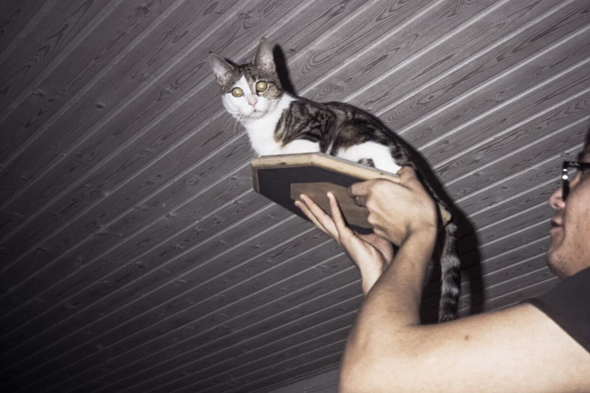 © Inuuteq Storch