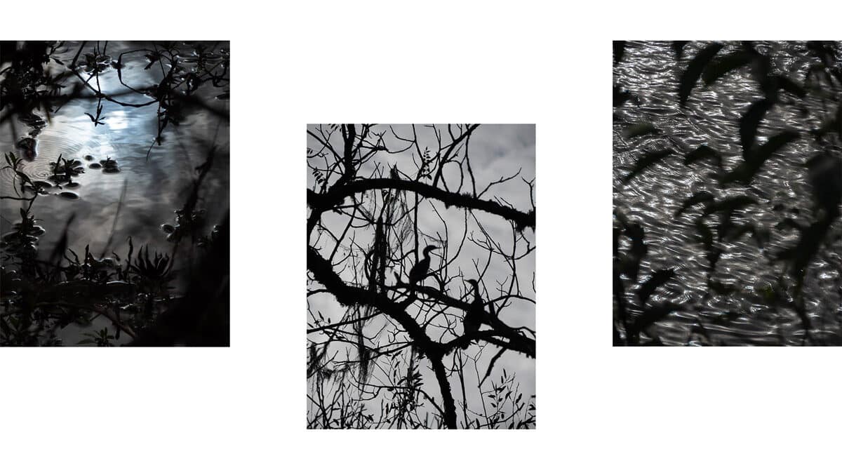 © Marion Faymonville