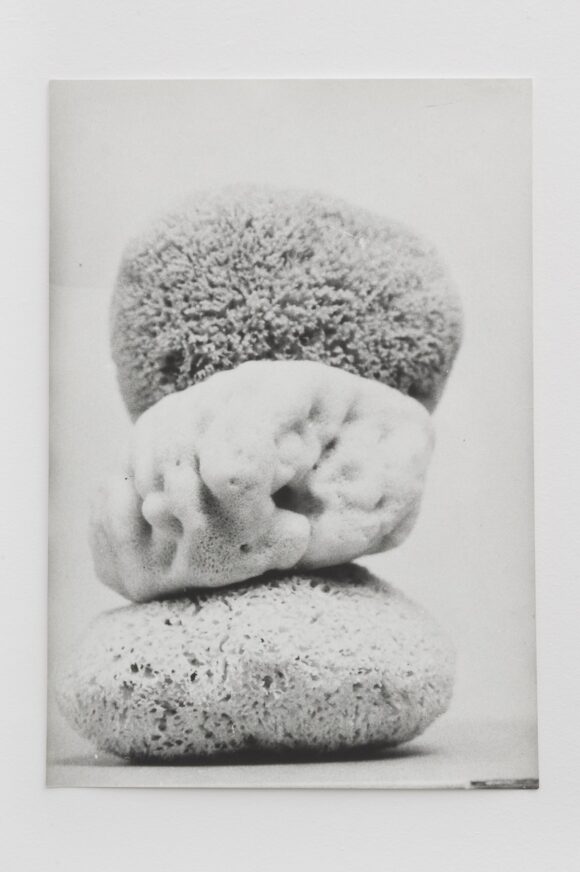 © Jochen Lempert