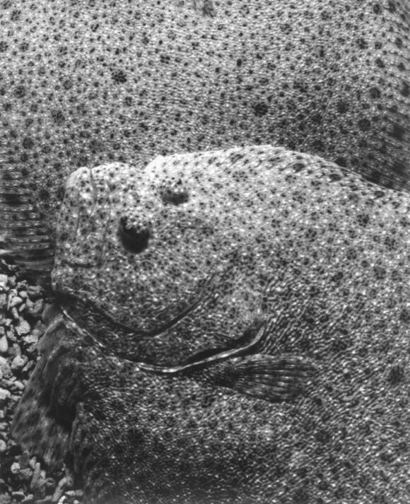 © Jochen Lempert