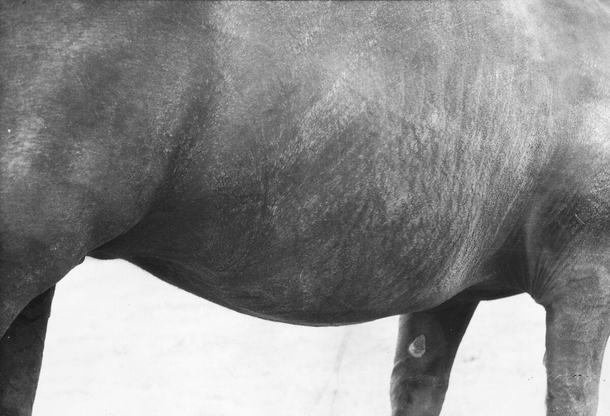© Jochen Lempert