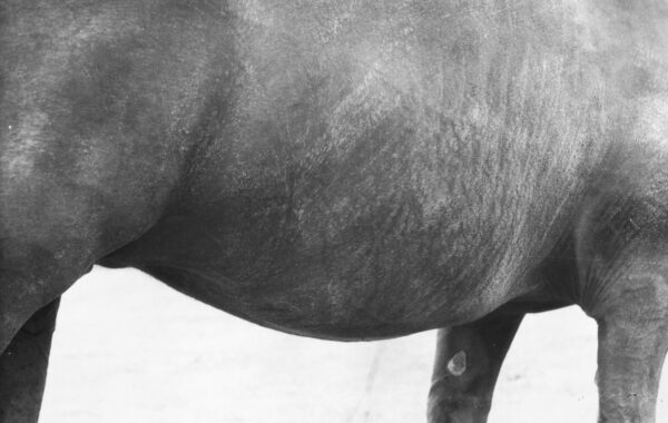 © Jochen Lempert