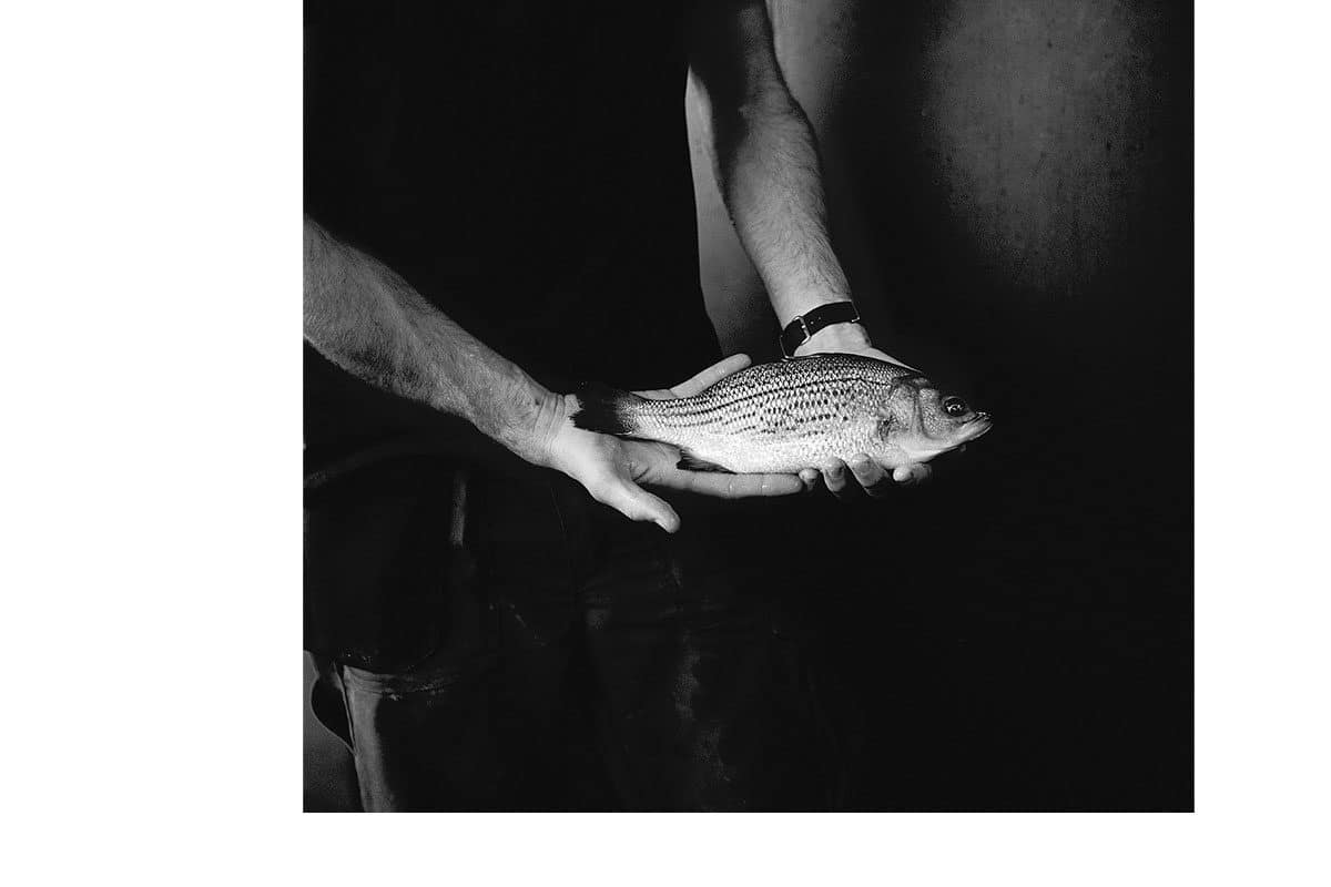 © Tom Lyon