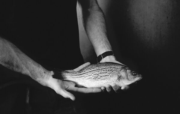 © Tom Lyon