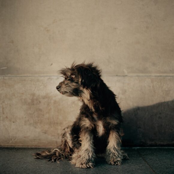 © Alec Soth
