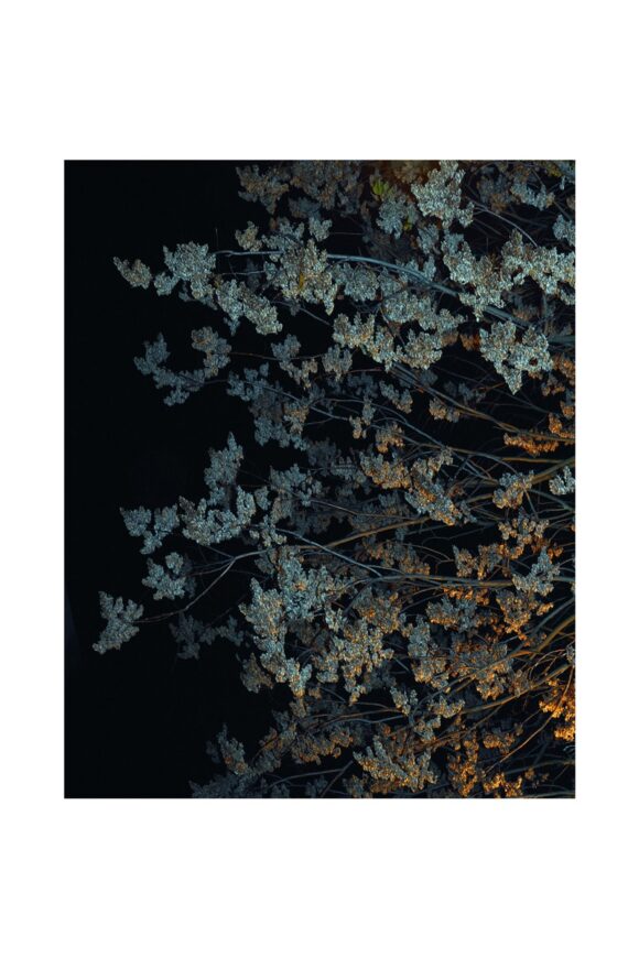© Chloé Milos Azzopardi