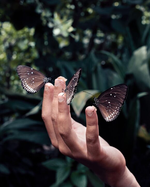 © Chloé Milos Azzopardi