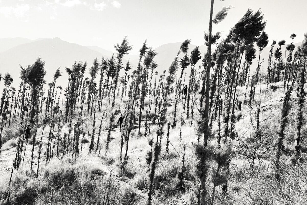 © Chloé Milos Azzopardi