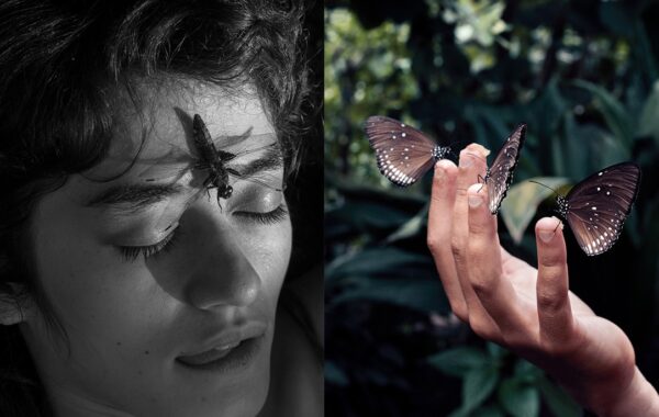 © Chloé Milos Azzopardi