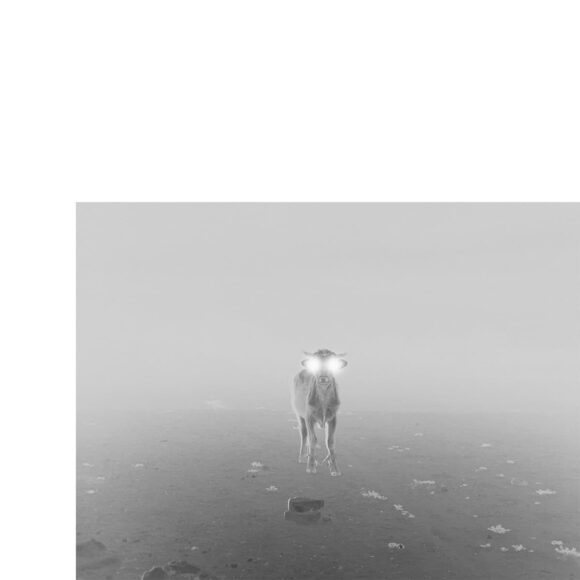 © Julien Lombardi