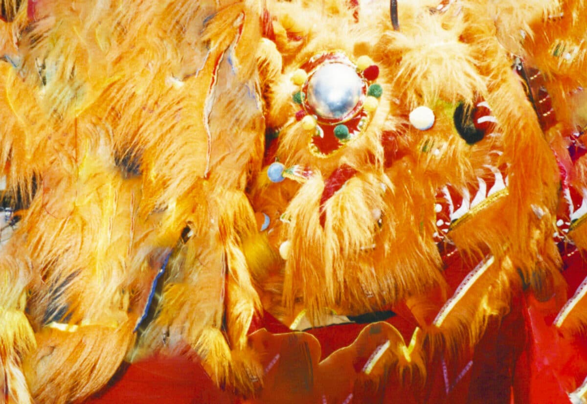 © Nhu Xuan Hua