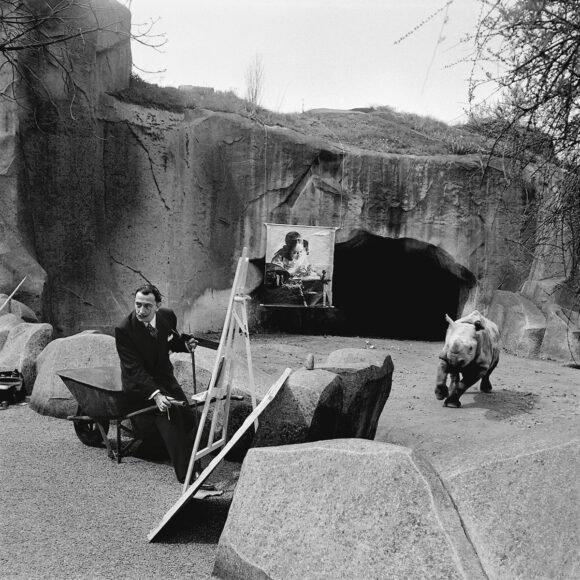 Paris, 30 avril 1955. Installation de Salvador Dalí au zoo de Vincennes pour peindre un rhinocéros.