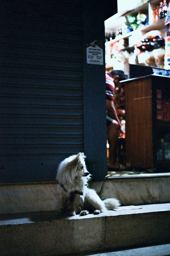 © Paul Rousselet