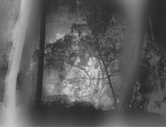 © Sarah Braeck