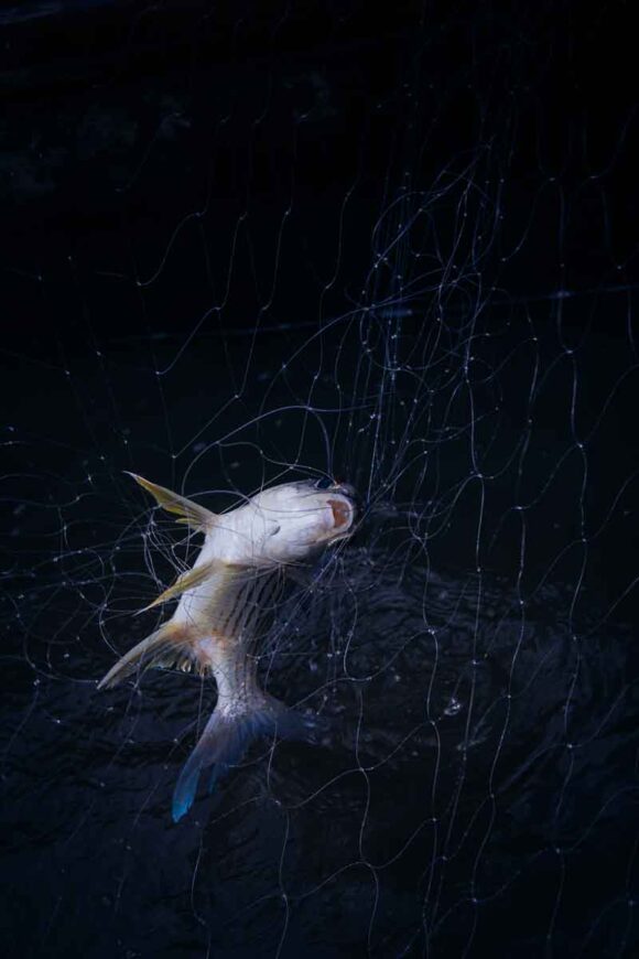© Valérian Mazataud