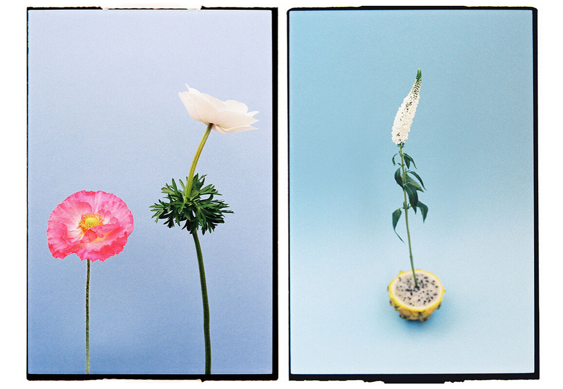 © Andrea Nieto