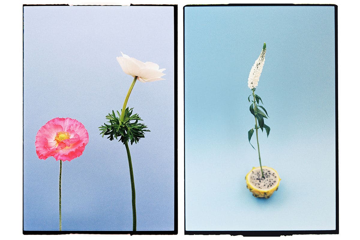 © Andrea Nieto