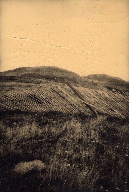 © Juanan Requena - VU'