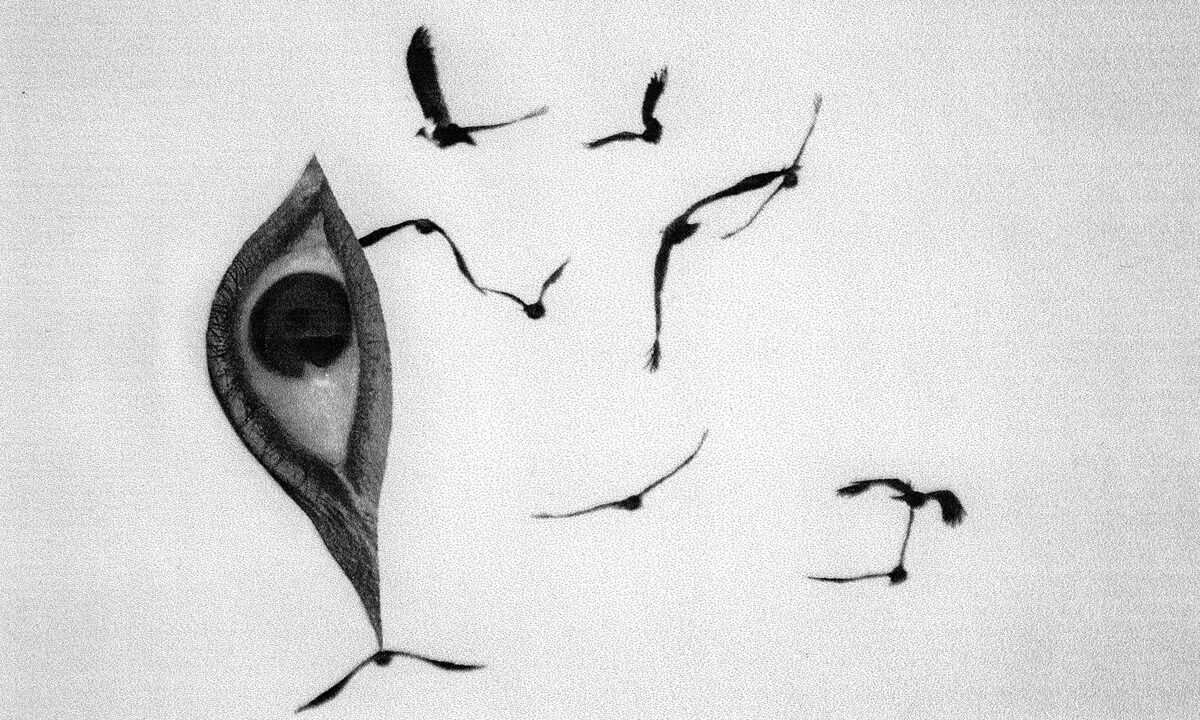 © Abraham Oghobase