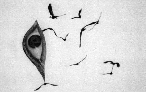 © Abraham Oghobase