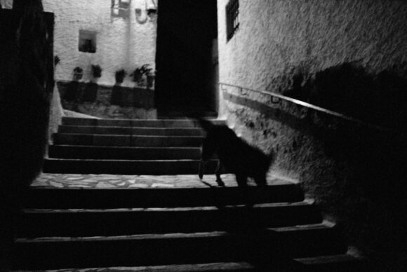 © Alexis Vassili Sacha Dawson