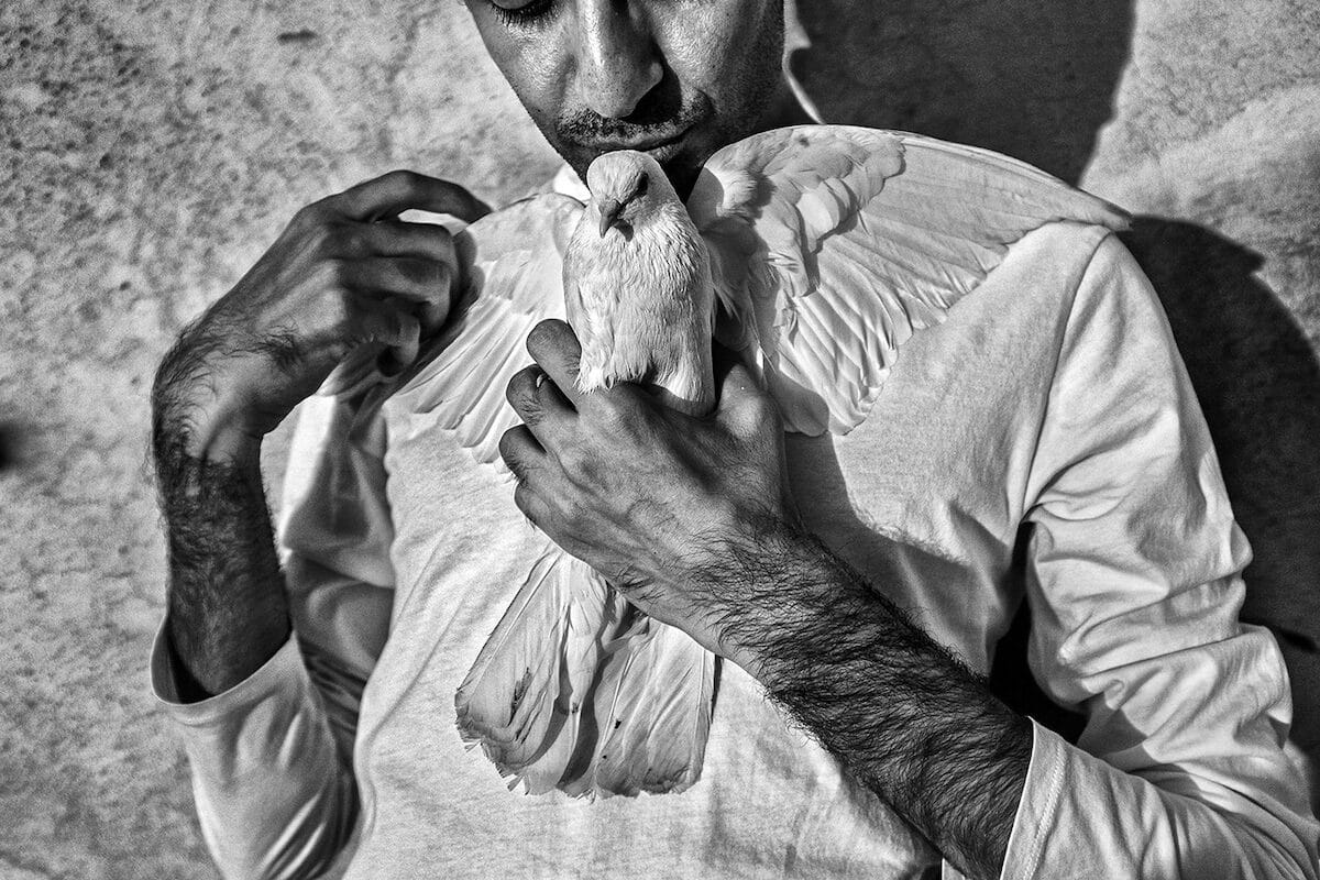 © Farshid Tighehsaz