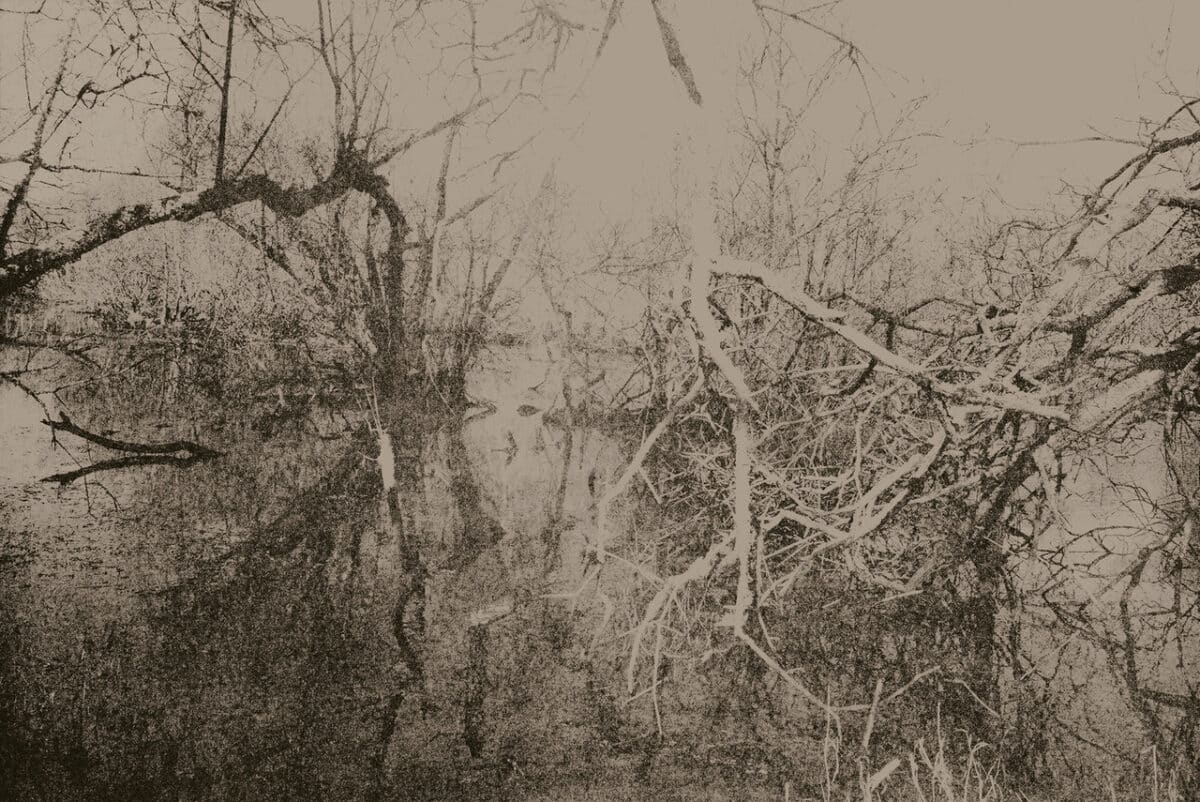 © Mélanie Dornier