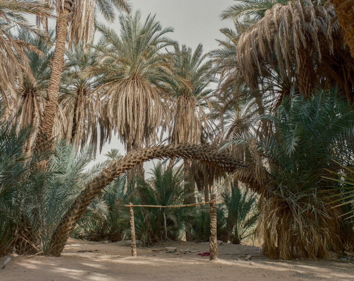 © Seif Kousmate