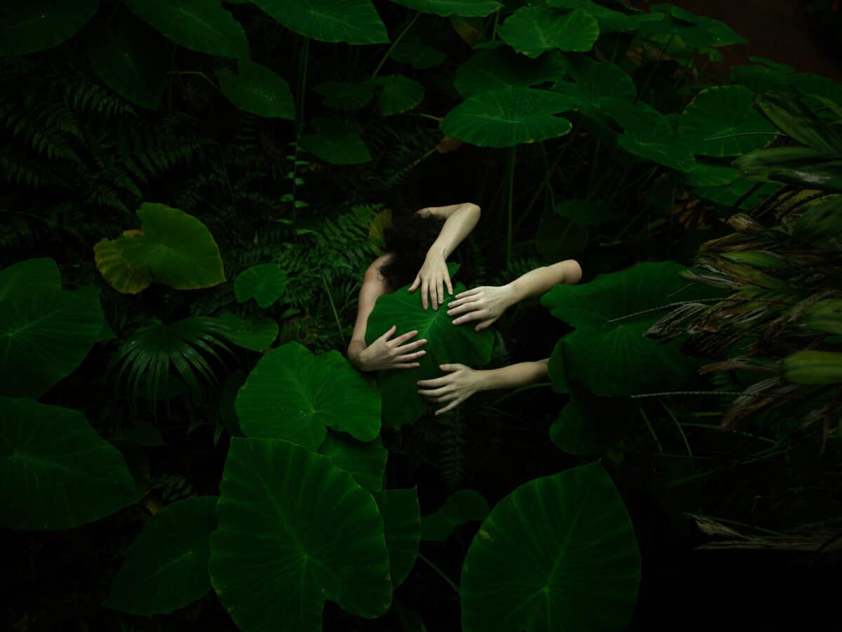 © Tamara Dean 