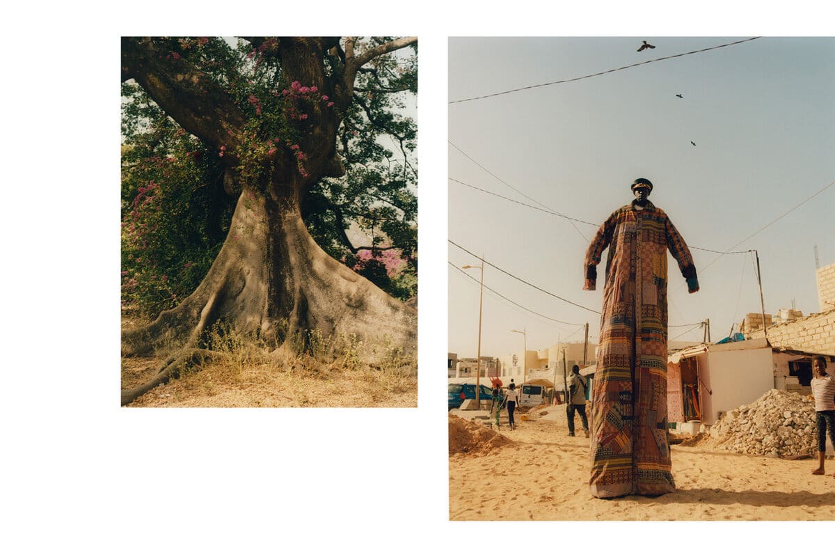 © Toby Coulson