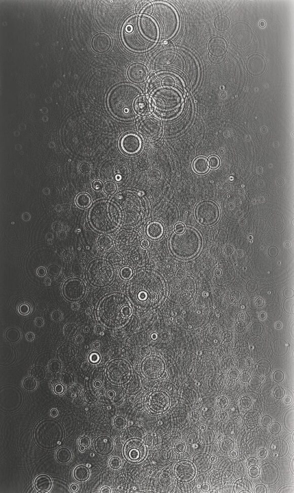 © Adam Fuss